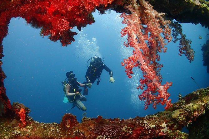 Bali Diving for Beginners: Tulamben Liberty Wreck - The USS Liberty Wreck Is the Main Event