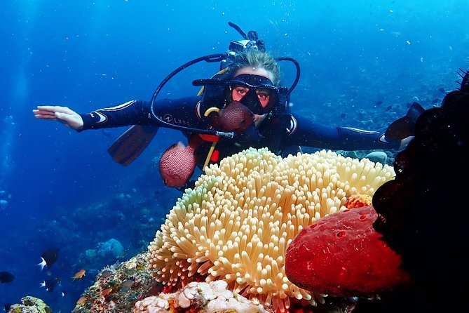 Bali Diving for Beginners: Tulamben Liberty Wreck - Lunch, Hot Drinks, and a Proper Break