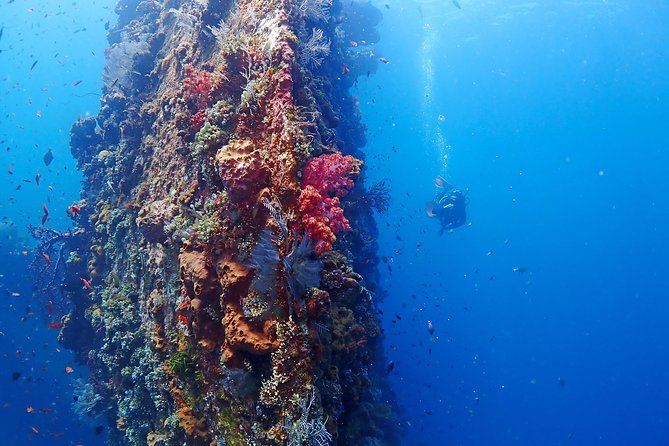 Bali Diving for Beginners: Tulamben Liberty Wreck - Safety Rules You Should Take Seriously