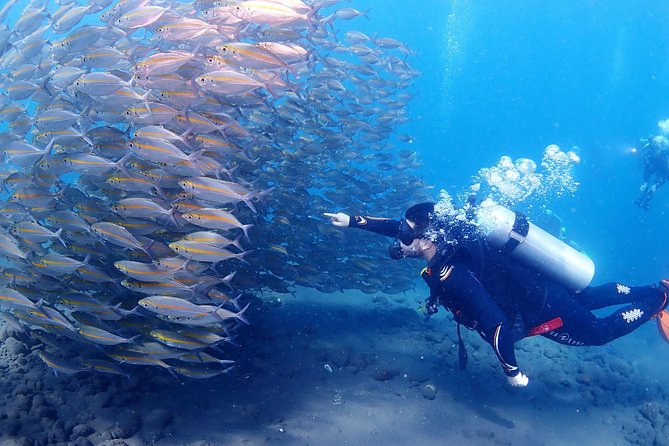 Bali Diving for Beginners: Tulamben Liberty Wreck - Who Will Get the Most From This Experience