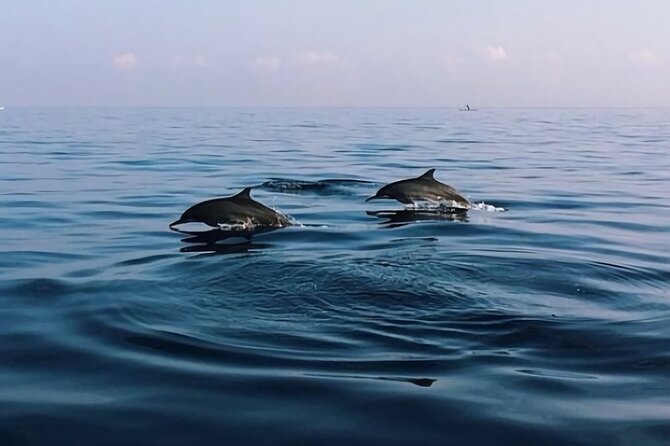 Bali Dolphin Lovina tour and Ulundanu Beratan - The long move to Ulun Danu Beratan