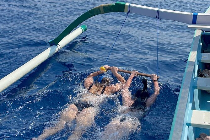 Bali : Dolphin Sunrise Experience Tour Private All Inclusive - Why Lovina sunrise is worth the early alarm