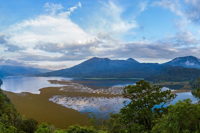 Bali : Dolphin Sunrise Experience Tour Private All Inclusive - Luwus coffee plantation, a quiet optional stop