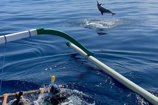 Bali : Dolphin Sunrise Experience Tour Private All Inclusive - What the $33 price really covers