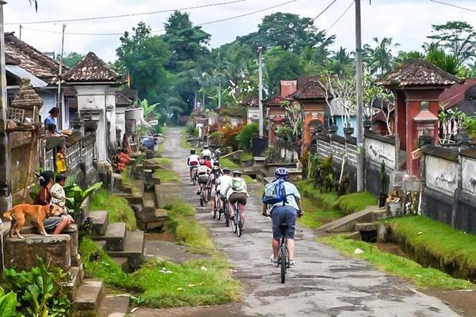 Bali Downhill Cycling and White Water Rafting - What the Rice Fields Add to the Ride