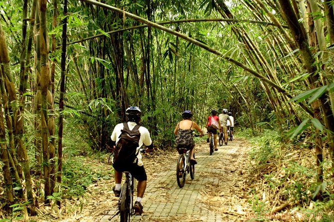 Bali Downhill Cycling and White Water Rafting - What $100 Includes