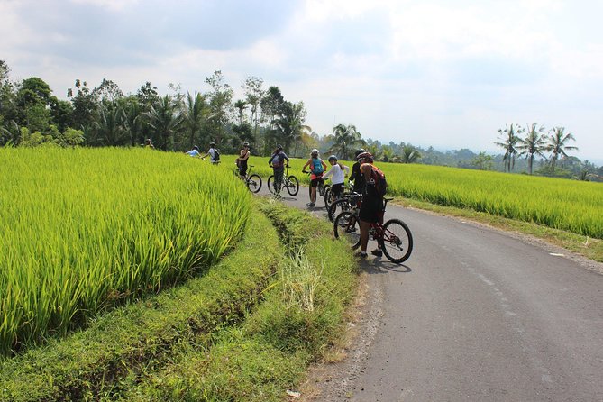 Bali Downhill Cycling and White Water Rafting - Should You Book It?