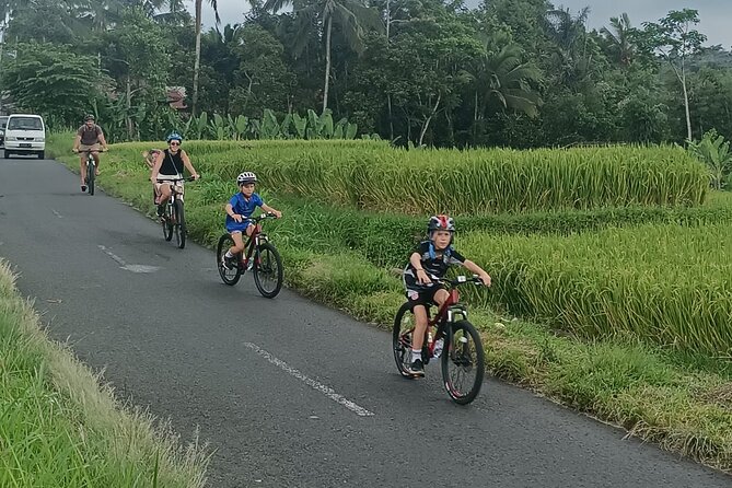 Bali Downhill Natural Cycling Tour & visit Volcano - Getting fitted for a bicycle at Pukuh