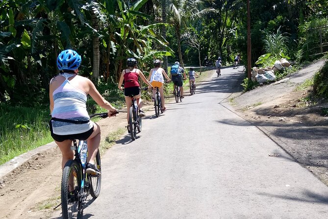 Bali Downhill Natural Cycling Tour & visit Volcano - A closer look at the temple and home visits