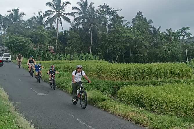 Bali Downhill Natural Cycling Tour & visit Volcano - Lunch in Banjar Laplapan