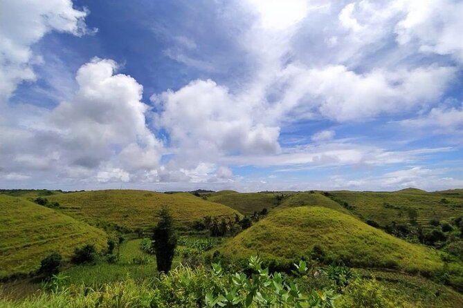 Bali East Nusa Penida Private Tour - All Inclusive - Molenteng Tree House for the classic picture