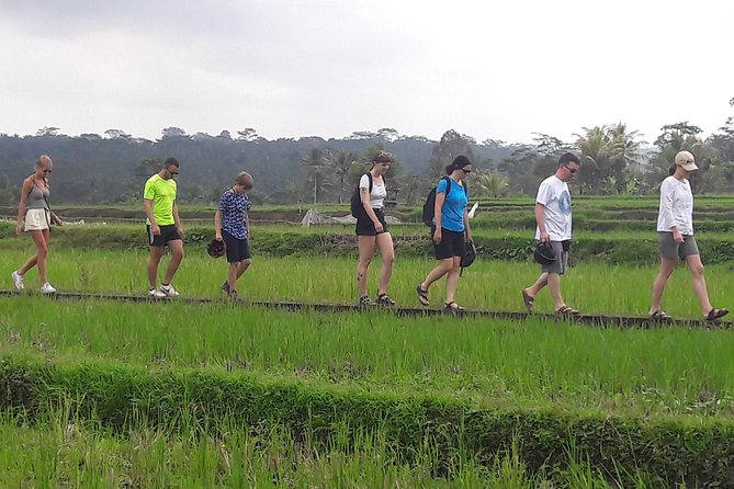 Bali Eco & Educational Cycling Tour - Family support, including baby bike seats