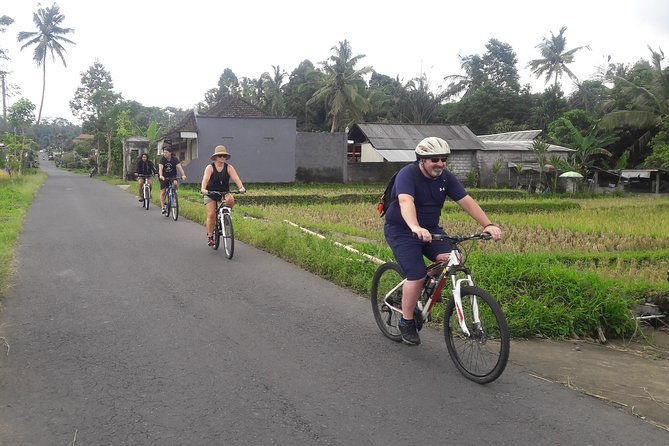 Bali Eco & Educational Cycling Tour - Who should book this cycling day?