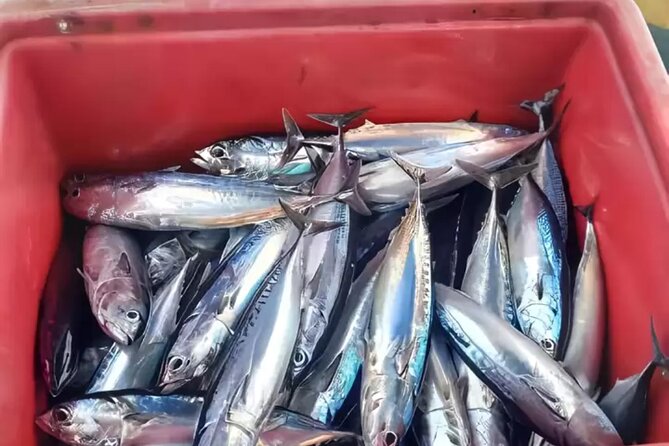 Bali: Fishing Charter Private Boat - Leaving Ubud for East Bali