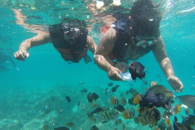 Bali: Fishing trip & Blue Lagoon Snorkeling with Lunch - Blue Lagoon and Tanjung Jepun underwater