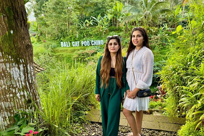 Bali Full Day Customized Private Tour - Tegallalang, Tirta Empul, and Ulu Petanu