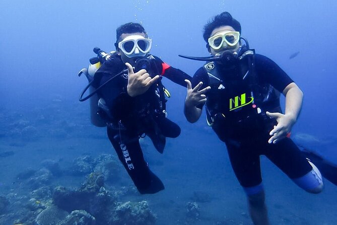Bali Full Day Experience Scuba Diving Tour at Tulamben - Session one: Tulamben’s coral garden