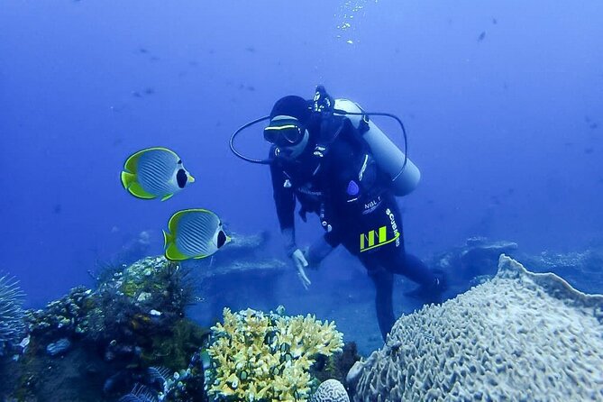 Bali Full Day Experience Scuba Diving Tour at Tulamben - What the $109.10 price includes
