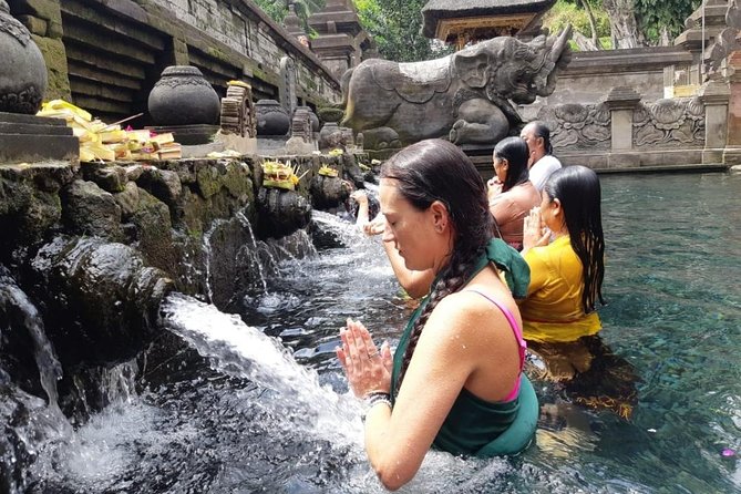 Bali Full Day Holy Water Tour - Tegalalang puts rice terraces on the schedule