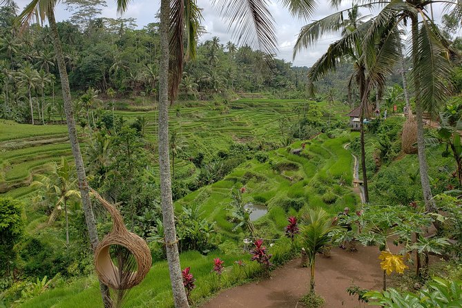 Bali Full Day Holy Water Tour - Sari Amerta explains Balinese batik