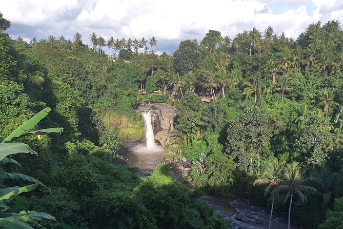Bali Full Day Holy Water Tour - What $59 buys you