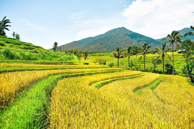Bali Full-Day Private Customize Tour - Six Bali icons packed into one private route