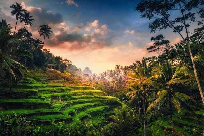 Bali Full-Day Sightseeing Trip with Lunch - A full day built around Bali’s best-known sights