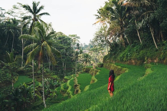 Bali Full-Day Sightseeing Trip with Lunch - Celuk Village and the choice to shop