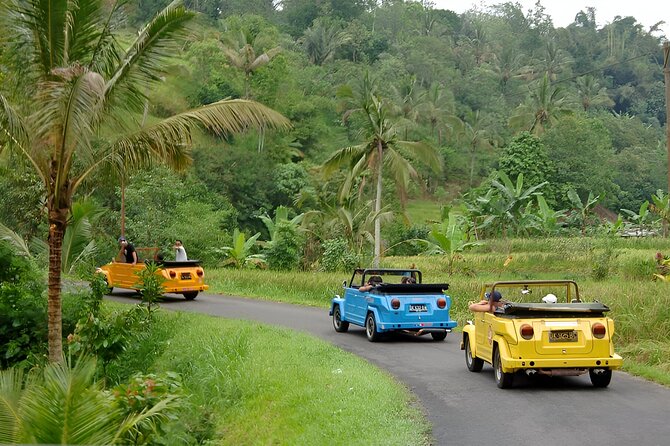 Bali Full-Day The Gate of Heaven Tour by VW Safari Classic Car - Virgin Beach for a slower hour