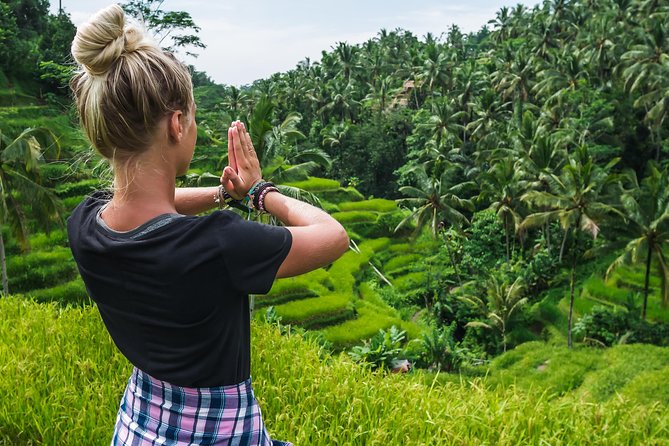 Bali Full Day Tour: Highlights of Ubud and Hidden Waterfall - Why this 10-hour Ubud route works
