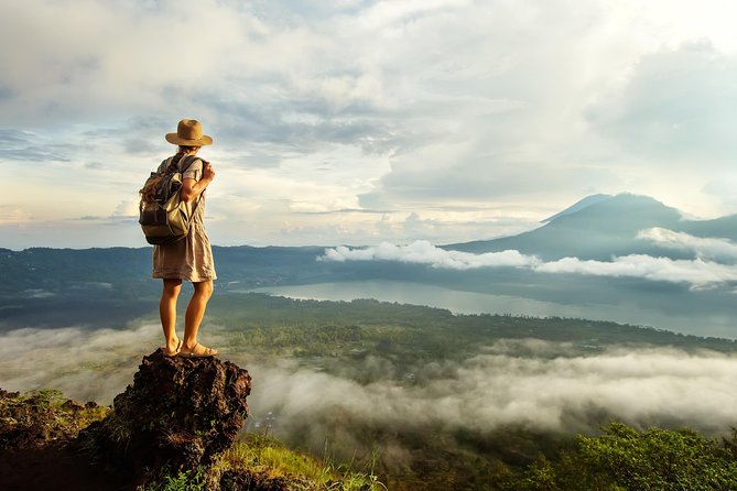 Bali Full Day Tour: Highlights of Ubud and Hidden Waterfall - The private car and guide make the difference