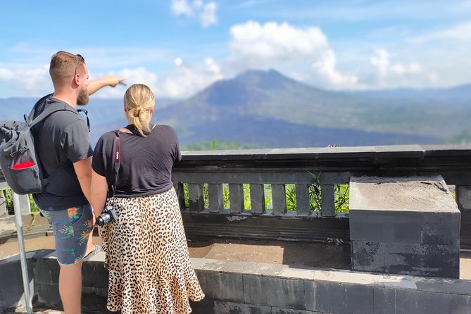 Bali Full Day Tour | Individual Route in Bali | Bali Guide | Free Wi-Fi - Ubud sights: monkeys, rice terraces, and holy water