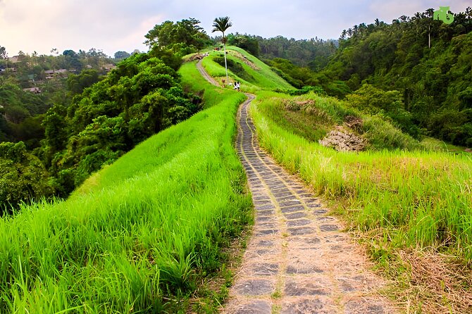 Bali Full Day-Tour: Ubud Sightseeing Trip - Why a private Ubud day works from Seminyak