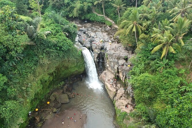 Bali Full-Day Tours : Waterfall and Ubud Destination Trip - A full day from Kuta to Ubud