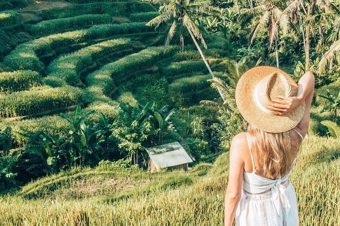 Bali Full-Day Tours : Waterfall and Ubud Destination Trip - Lunch in the Ubud area