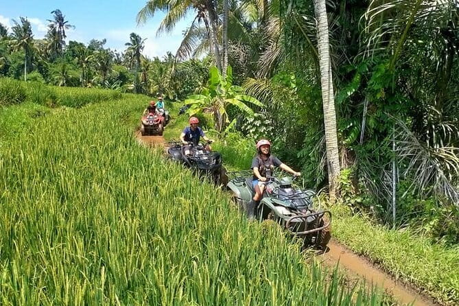 Bali Full-Day Tours : Waterfall and Ubud Destination Trip - Goa Gajah, the Elephant Cave with a serious past