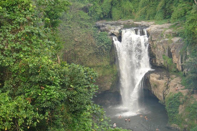 Bali Full-Day Traditional Village Sightseeing Trip All Inclusive - Tegalalang Rice Terrace and the farming story