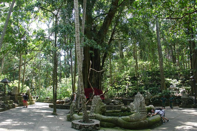 Bali Full-Day Traditional Village Sightseeing Trip All Inclusive - Luwak coffee and the uncomfortable side of the stop