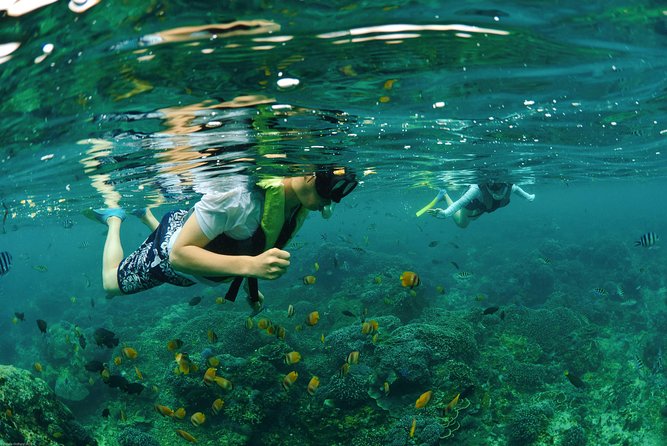 Bali Hai - Reef Cruise - How the price compares with what you receive
