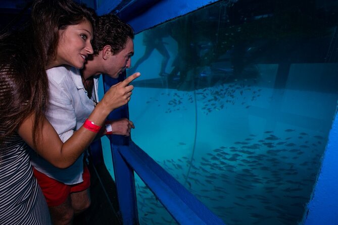 Bali Hai - Reef Cruise - Group size, pace, and possible drawbacks