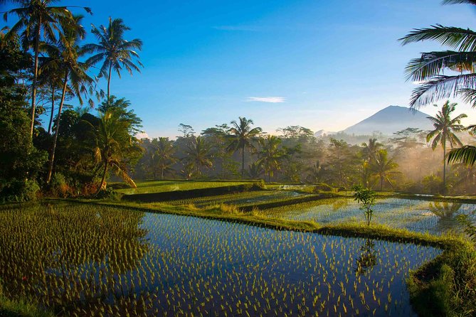 Bali Half Day Photography Tour - Why this early Ubud photo tour works