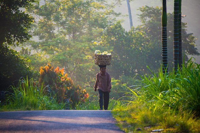 Bali Half Day Photography Tour - Tirta Empul Temple and purification rituals