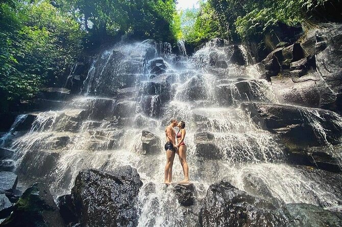 Bali Half Day Trip : All-Inclusive and Private Guided Tour - Four Ubud sights linked by one private car