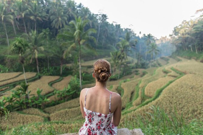 Bali Half Day Trip : All-Inclusive and Private Guided Tour - Feeling the force of Tegenungan Waterfall
