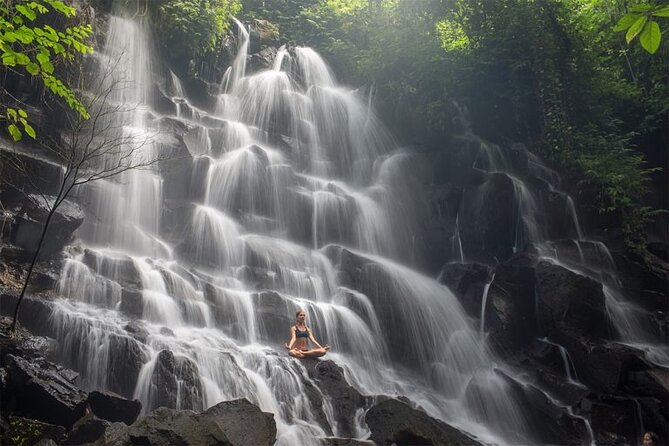 Bali Half Day Trip : All-Inclusive and Private Guided Tour - Walking among macaques at the Sacred Monkey Forest