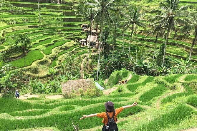 Bali Highlight Private Packages Tours 3 Days - Day one: crafts, Mount Batur, and holy water