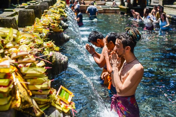 Bali Highlights Private Tour with Elephant Cave and Rice Field - Tegalalang Rice Terrace and the final views