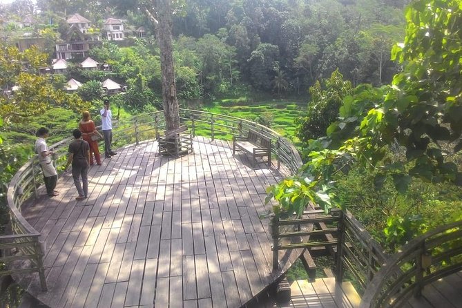 Bali Hindu temple, Rice terrace, Waterfall -All Inclusive - Coffee at Uma Pakel Agro Tourism