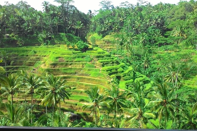Bali Hindu temple, Rice terrace, Waterfall -All Inclusive - How the six-to-nine-hour schedule really works