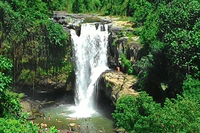 Bali Hindu temple, Rice terrace, Waterfall -All Inclusive - Tegalalang Rice Terrace: views with a working side